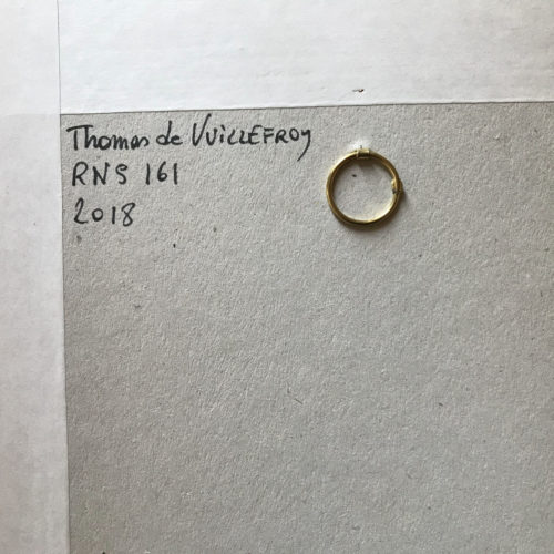 RNS 161 - Signature - (T. de Vuillefroy)