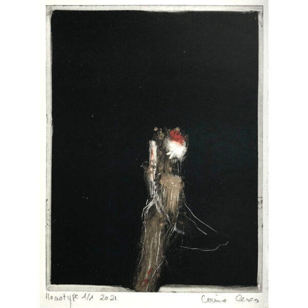 Monotype 4 Petit format  (C.Cesca)