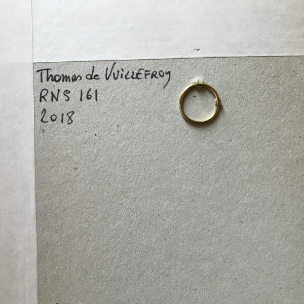 RNS161 (T.de Vuillerfoy) – Image 4