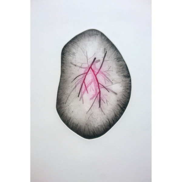 Cœur de cailloux (M.Vallet)