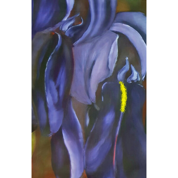 Iris 1 (J.Zacherl)