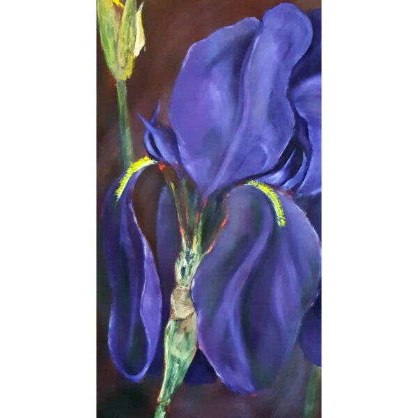 Iris 2 (J.Zacherl)