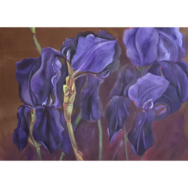Iris 3 (J.Zacherl)