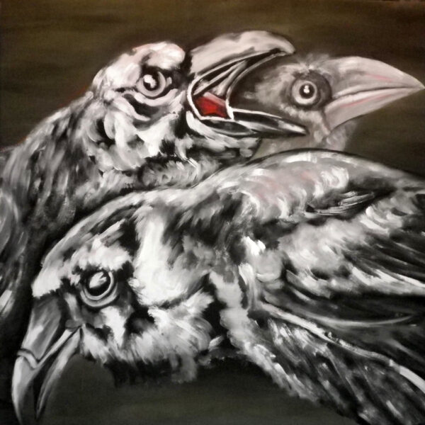Trois corbeaux noirs et blancs (J.Zacherl)