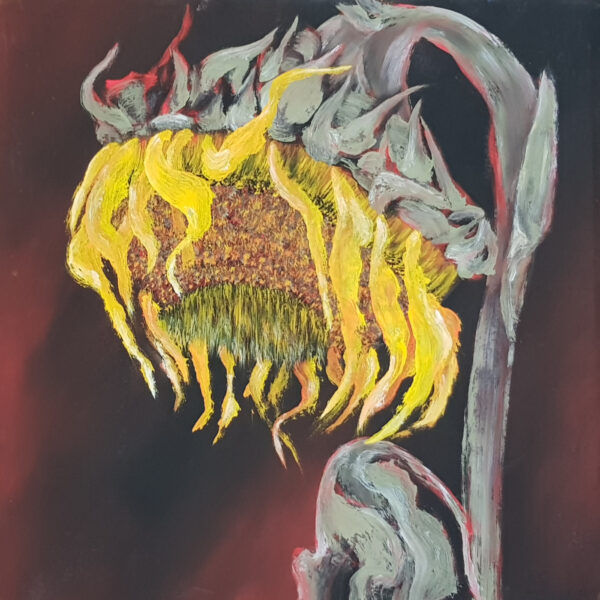 Tournesol T1 (J.Zacherl)