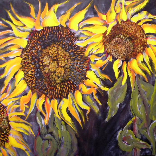 Tournesol 1 (J.Zacherl)