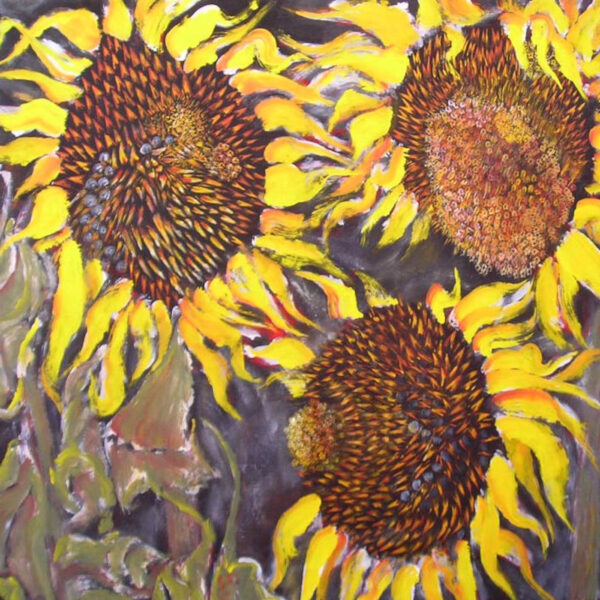 Tournesol 3 (J.Zacherl)