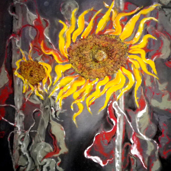 Tournesols T2 (J.Zacherl)