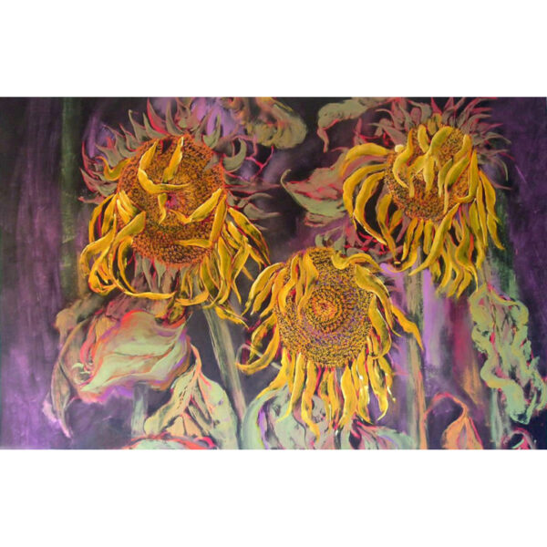Tournesols T5 (J.Zacherl)