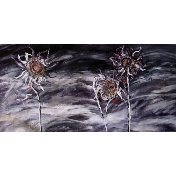 Trois tournesols dans la neige (J.Zacherl)