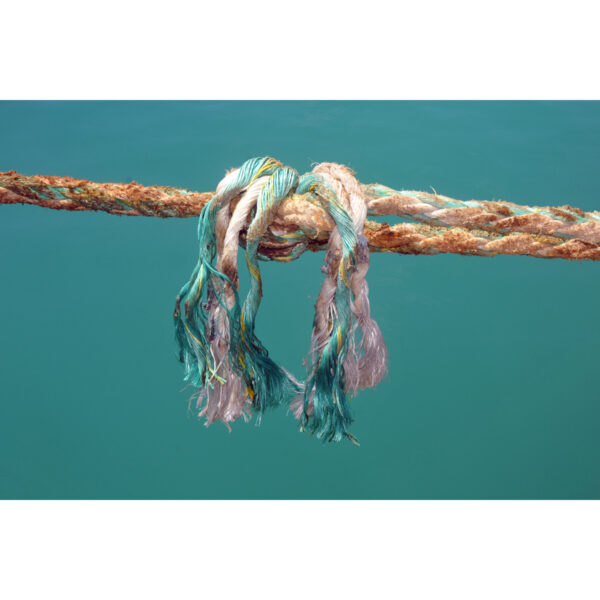 Aussière (B.Marty) Aussière (B.Marty)