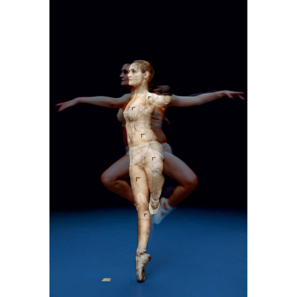 Farfalla (G.Dumas) Farfala IP (G.Dumas)