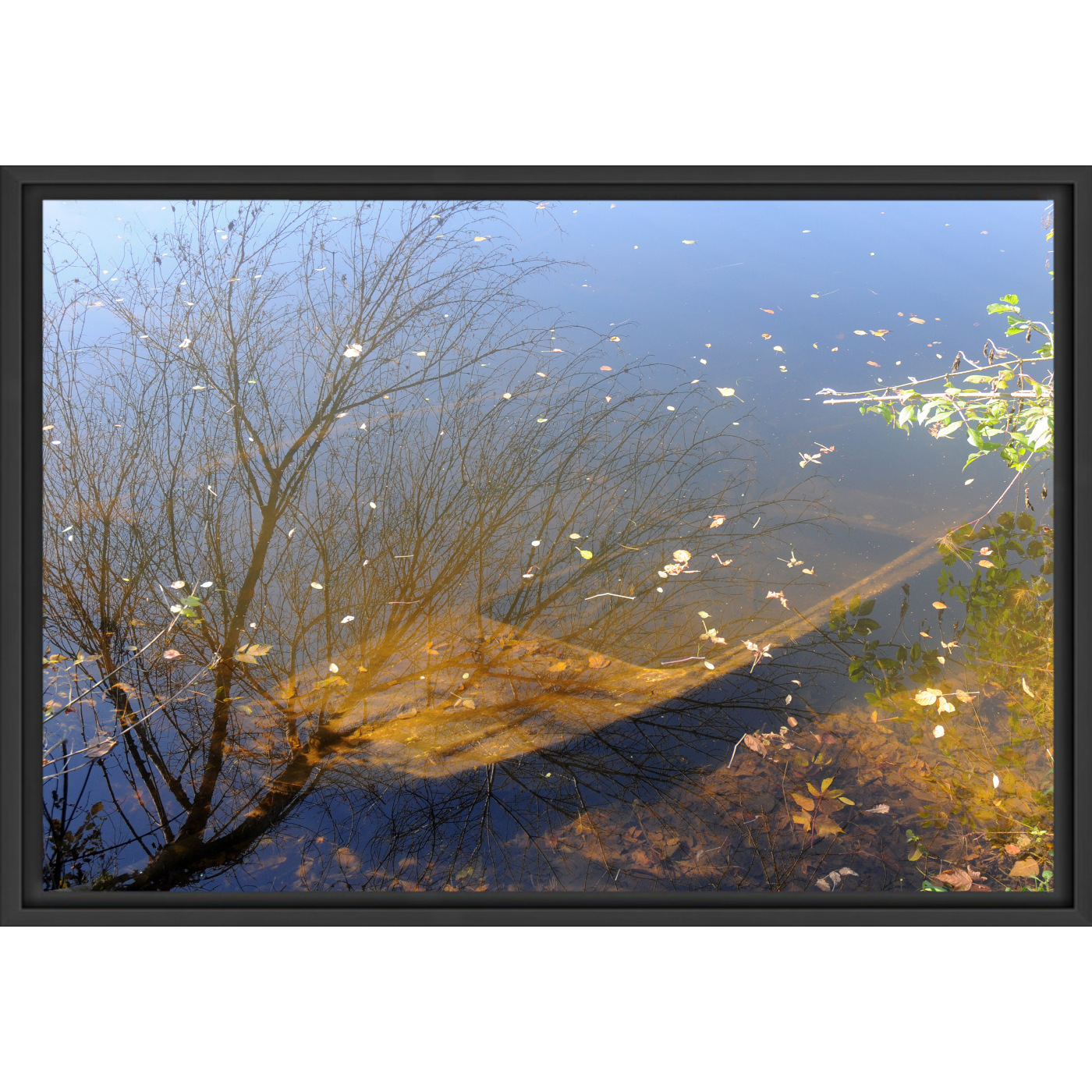 Immersion (B.Marty) – Image 2