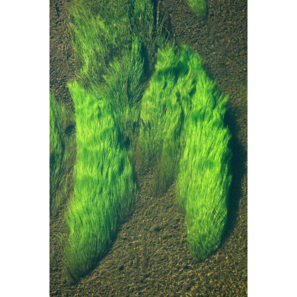 Ondulations (B.Marty) Ondulations (B.Marty)