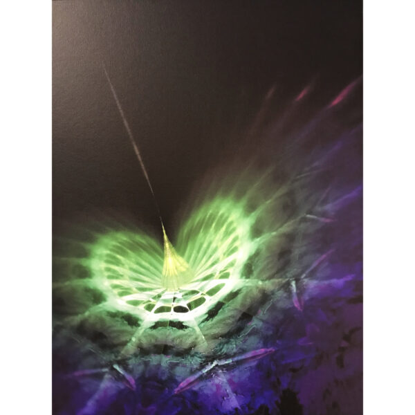 Rayonnement (CM.Nobre)