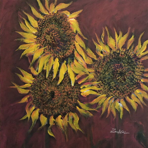3 tournesols/carton 2 (J.Zacherl)