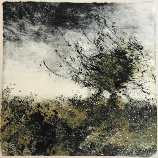Arbre dans le vent 1 (J.J Maho)