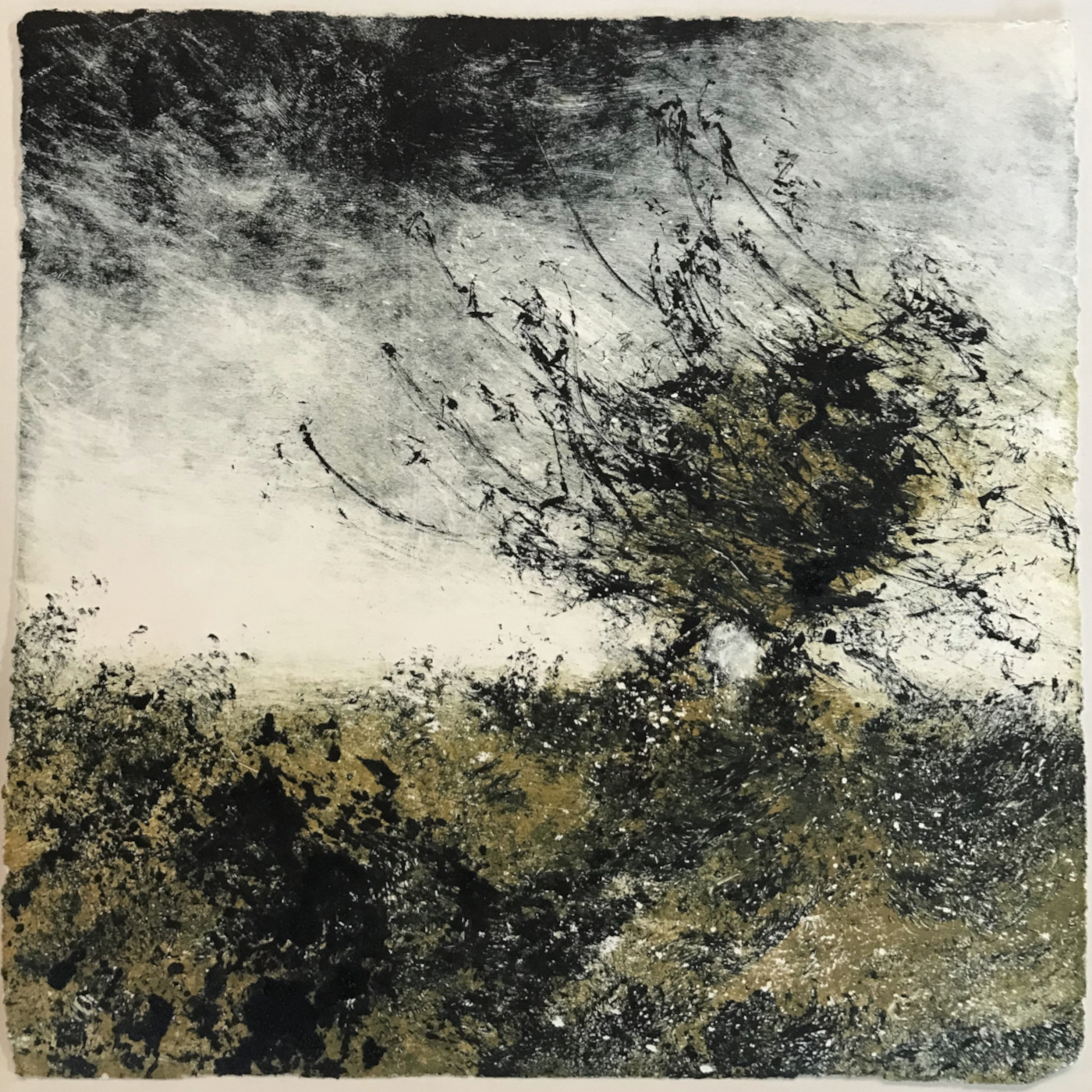 Arbre dans le vent 1 (J.J Maho)
